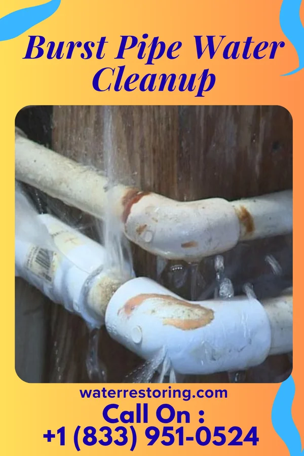 Burst Pipe Water Cleanup in Navassa, NC