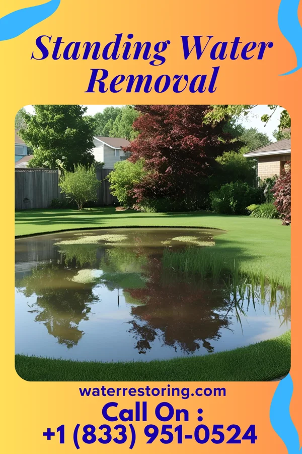 Standing Water Removal in Navassa, NC